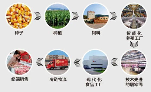 泰國首富家族要來a股了 瞄準生豬養殖賽道